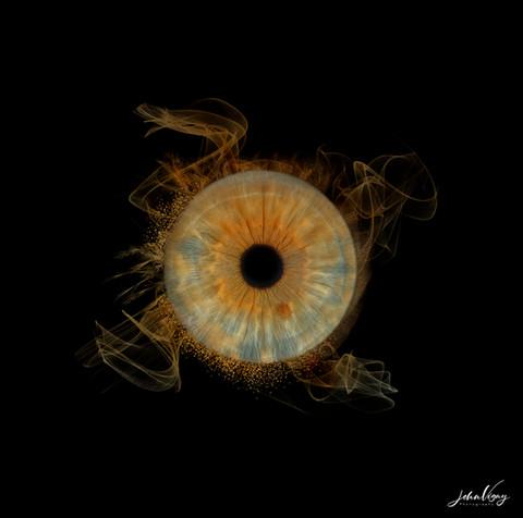 expérience photographique