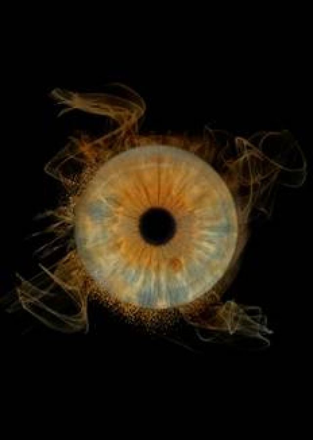 Iris