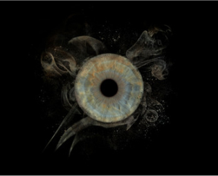 Photographe iris